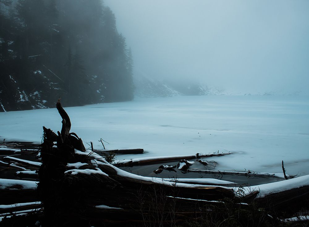 A still, mist-covered lake at first light with driftwood along the near shore